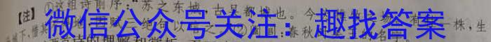 2023届全国普通高等学校招生统一考试(新高考)JY高三终极一考卷(二)语文