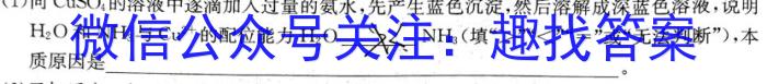 江西省九江市2023年初中学业水平考试复习试卷（一）化学