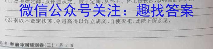 2023年湖南省普通高中学业水平合格性考试高一仿真试卷(专家版四)语文