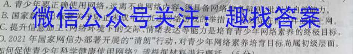 江西省南丰县2023年九年级下学期期中检测语文