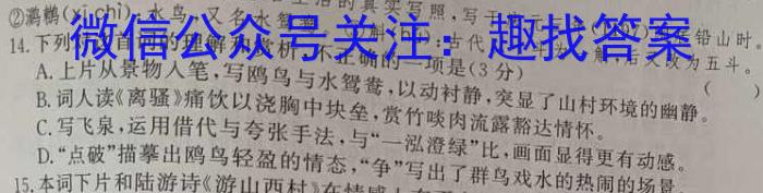 2023衡水金卷先享题压轴卷答案 湖北专版新高考B二语文