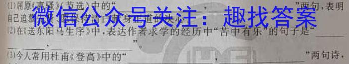 2023年普通高等学校招生全国统一考试猜题密卷(新高考)(三)语文