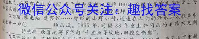江淮教育联盟2023年春季九年级第二次联考语文