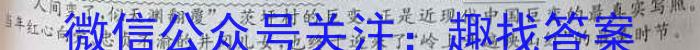 023年湖北云学新高考联盟学校高二年级4月期中联考语文"