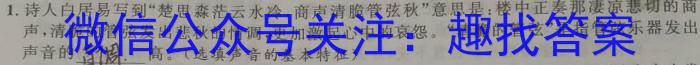 安徽省芜湖市2023年九年级毕业暨升学模拟考试(二).物理