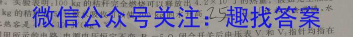 2023届名校之约·中考导向总复习模拟样卷 二轮(六)物理`