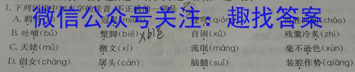 安徽省蒙城县2023年初中毕业学业考试模拟试卷语文