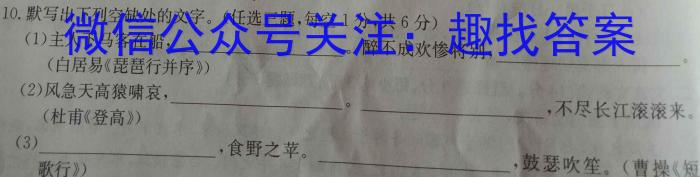 非凡吉创 2022 -2023下学年高三年级TOP二十名校猜题大联考(一)语文