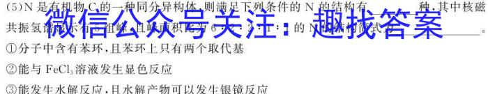 河南省2023年中招九年级适应性测试（二）化学