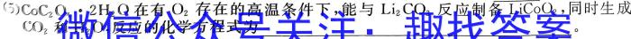 江西省乐平市2022-2023学年度九年级下学期期中学业评价化学