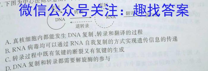 衡中同卷 2022-2023学年度下学期高三四调考试(新教材)生物