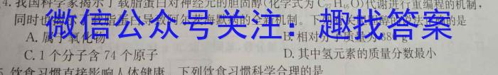 铜川市2023年初三学业水平考试模拟试题化学