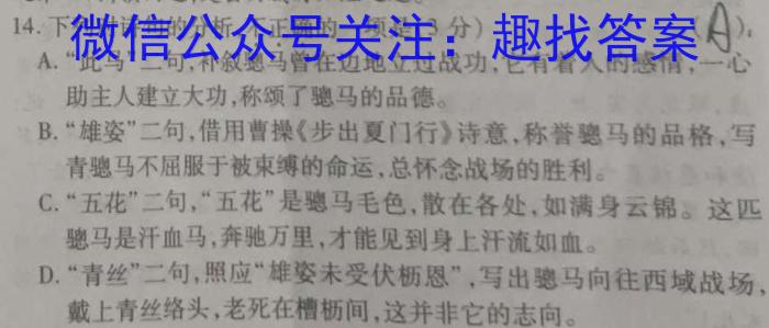 2023高考冲刺试卷 新高考(二)语文
