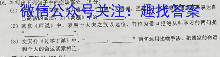 华师—附中2023年普通高等学校招生全国统一考试名校联盟·压轴卷(二)语文