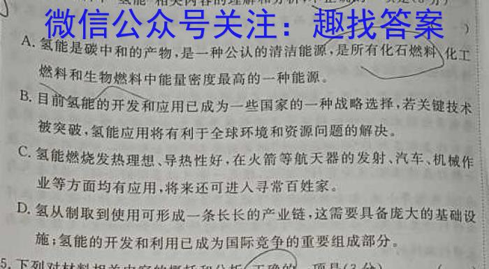 2023学年普通高等学校统一模拟招生考试新未来4月高三联考语文