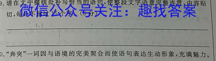 九师联盟 2022~2023学年高三押题信息卷(老高考)(四)语文