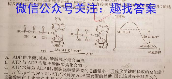 江西省2023届高三阶段性考试（23-399C）化学