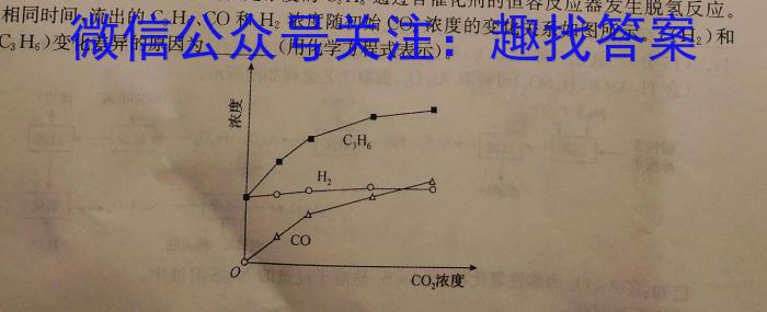 2023年陕西省初中学业水平考试·冲刺压轴模拟卷（二）化学