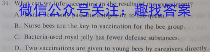 1号卷·A10联盟2022级高一下学期4月期中考英语