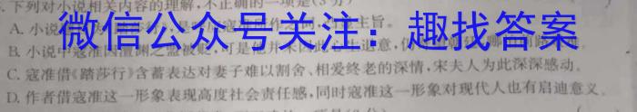 衡水金卷先享题信息卷2023答案 山东版四语文