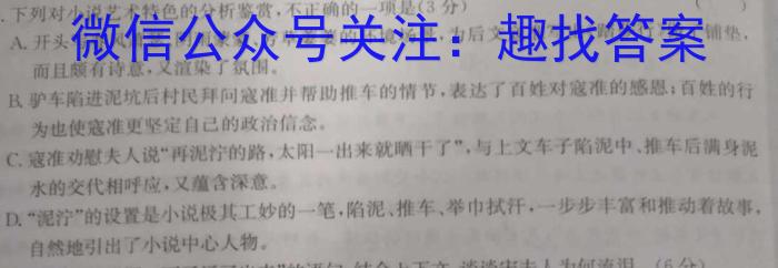 安师联盟·安徽省2023年中考仿真极品试卷（二）语文