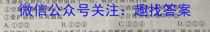 江西省2023年九年级模拟五q地理