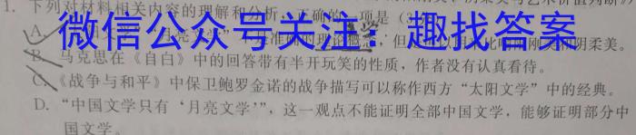 河北省邢台市部分学校2024-2023学年高三下学期4月联考语文