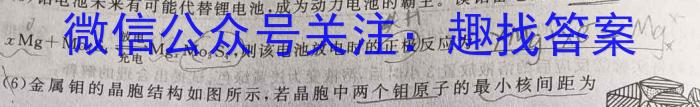 2023年陕西省初中学业水平考试全真模拟（五）化学