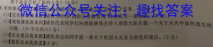 江淮名卷·2023年安徽中考模拟信息卷(八)语文