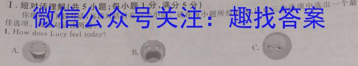 快乐考生 2023届双考信息卷·第七辑 一模精选卷 考向卷(四)英语