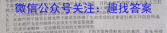 “天一大联考·安徽卓越县中联盟” 2022-2023学年(下)高二年级阶段性测试(期中)生物