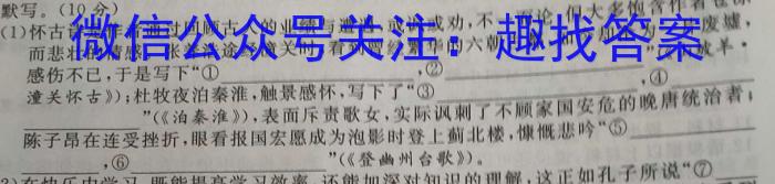 陕西省2023年普通高等学校招生全国统一考试(标识◇)语文