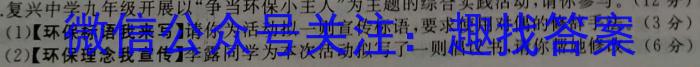 2023年安徽省初中学业水平模拟考试语文