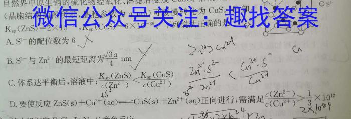 2024~2023学年新乡市高二期中(下)测试(23-391B)化学