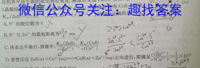 2023年普通高等学校招生全国统一考试猜题信息卷(新高考)(一)化学