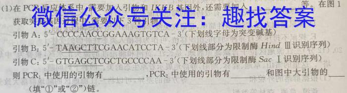 江西省南昌市南昌县2023年七年级第二学期期中考试生物