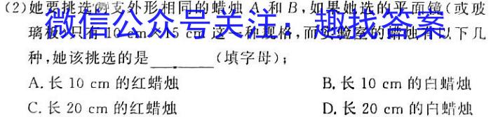 2024-023下学年非凡吉创高三TOP二十名校四月冲刺卷2q物理
