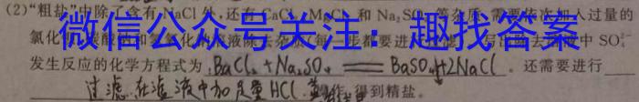 山西省2023年中考总复习预测模拟卷（七）化学
