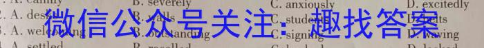 2023高考名校导航冲刺金卷(六)英语