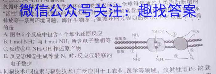 2022-2023百万联考高二考试4月联考(23-204B)化学