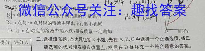 江淮名卷·2023年安徽中考模拟信息卷(八)化学