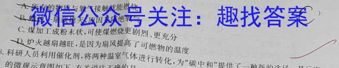 江西省2023年初中学业水平考试适应性试卷（一）化学