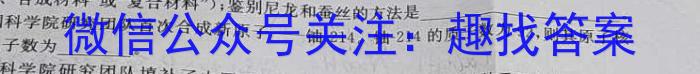 2024-2023学年安徽省七年级下学期阶段性质量监测（七）化学