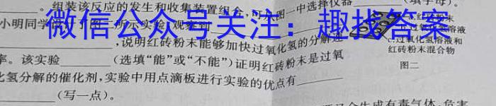 2024-2023学年重庆市高一中期考试(23-417A)化学