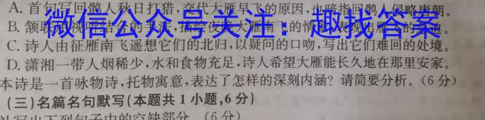 河北省2023年普通高等学校招生全国统一考试仿真模拟卷(四)语文