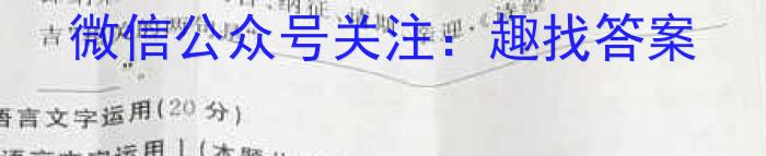 2023年普通高等学校招生统一考试青桐鸣高三4月大联考语文