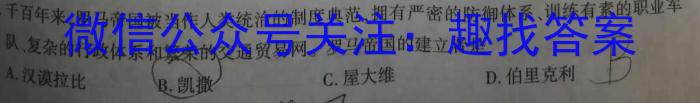 2023年普通高等学校招生全国统一考试 高考模拟试卷(五)历史