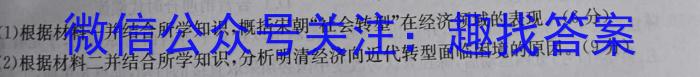 江西省吉安市2023年初中学业水平考试模拟卷历史