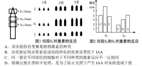 2023年4月湖湘教育三新探索协作体高一期中联考生物