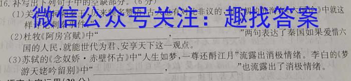 天一大联考·安徽卓越县中联盟 2022-2023学年(下)高二阶段性测试(期中)语文